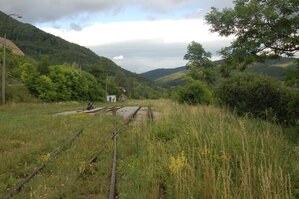 an1_005727.jpg