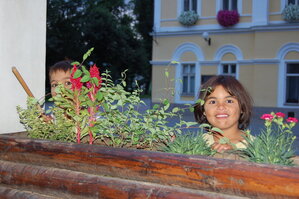 an1_005735.jpg