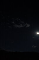 an1_005745.jpg