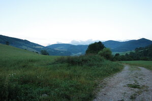 an1_005765.jpg