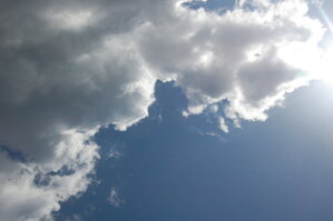 an1_005794.jpg
