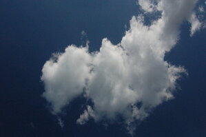 an1_005795.jpg