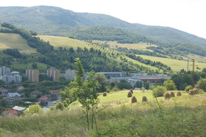 an1_005804.jpg