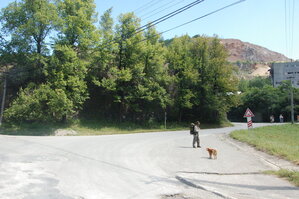 an1_005809.jpg
