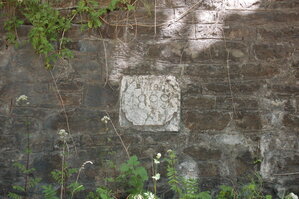 an1_005810.jpg