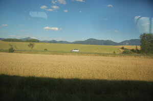 an1_005850.jpg