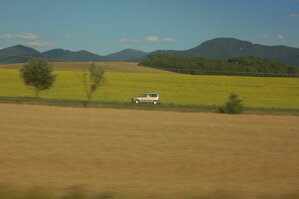an1_005855.jpg