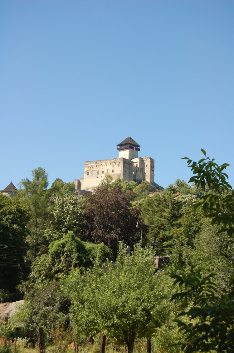 an1_036440.jpg