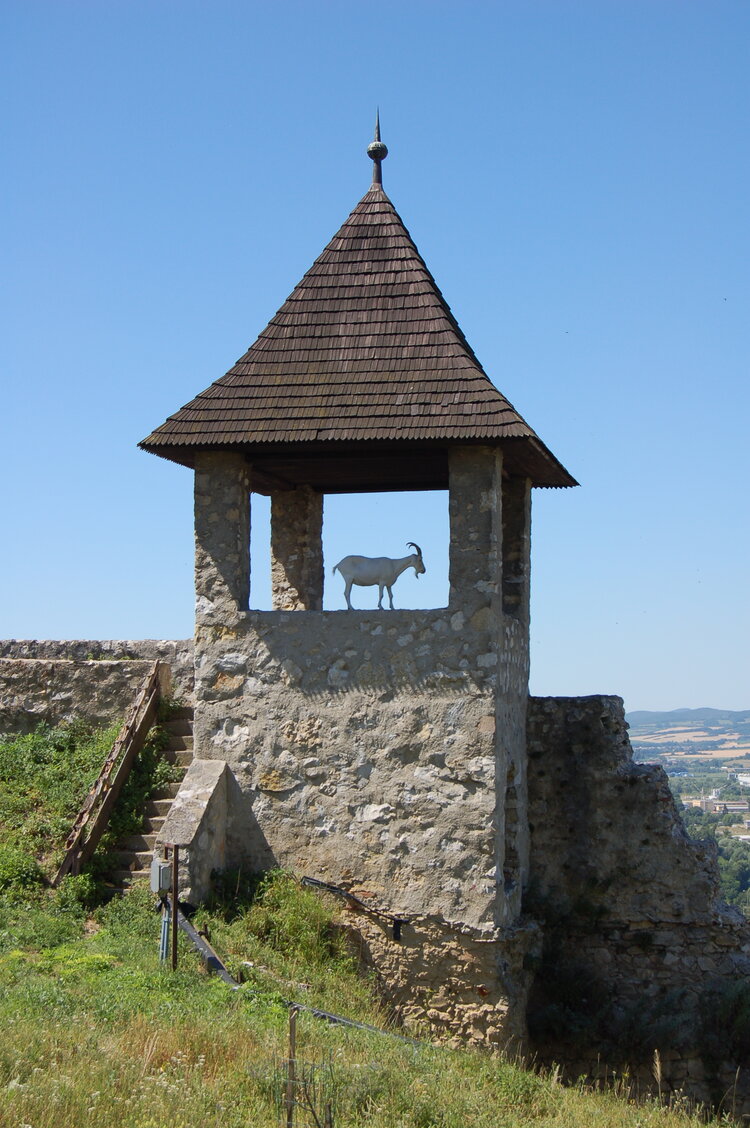 an1_036450.jpg
