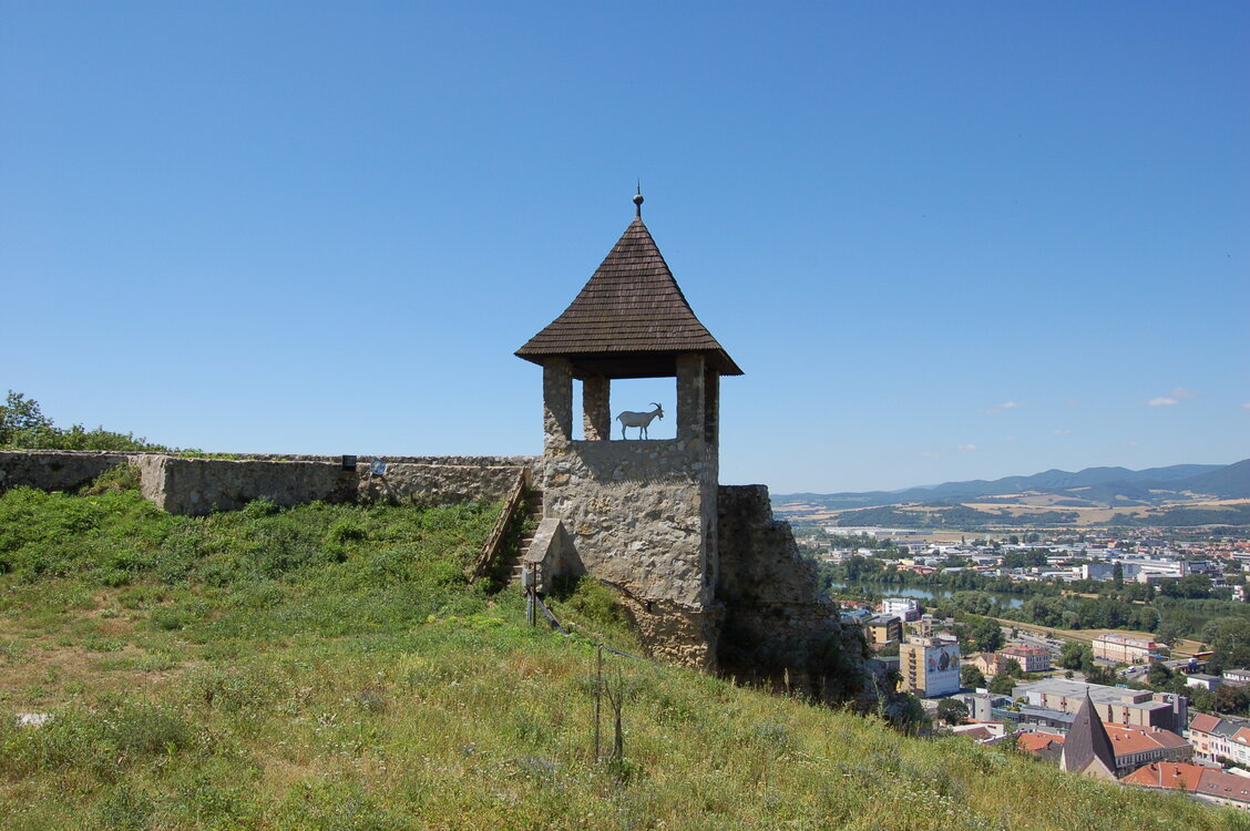 an1_036451.jpg