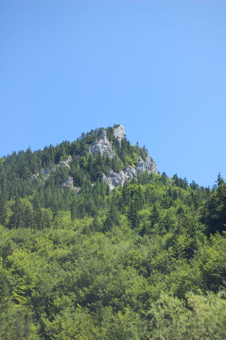 an1_036509.jpg