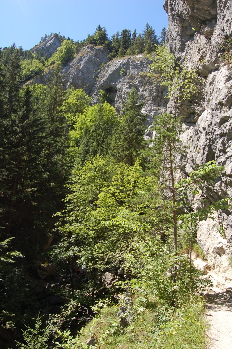 an1_036514.jpg
