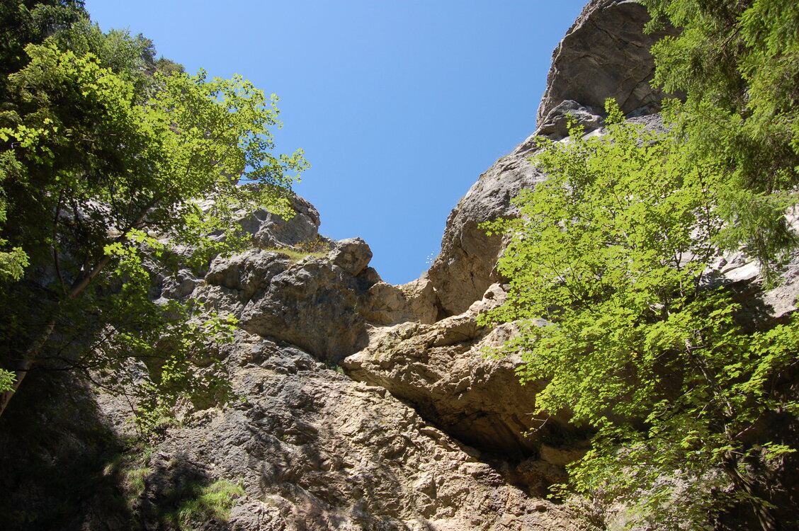 an1_036515.jpg
