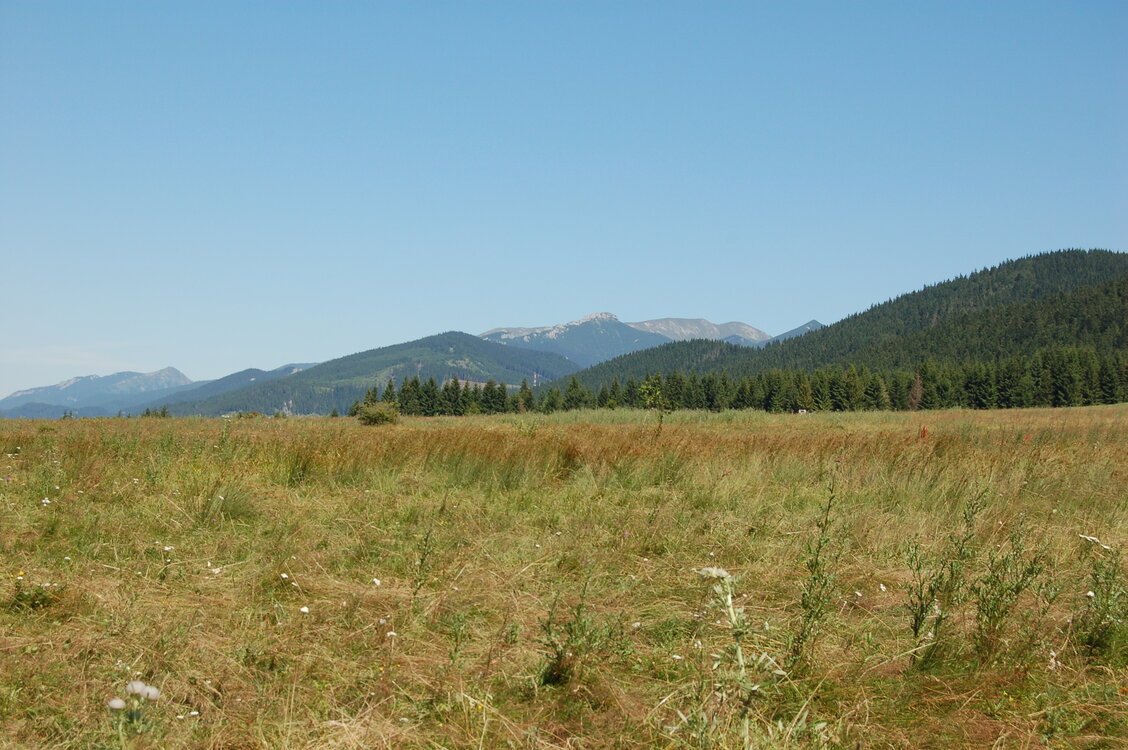 an1_036550.jpg