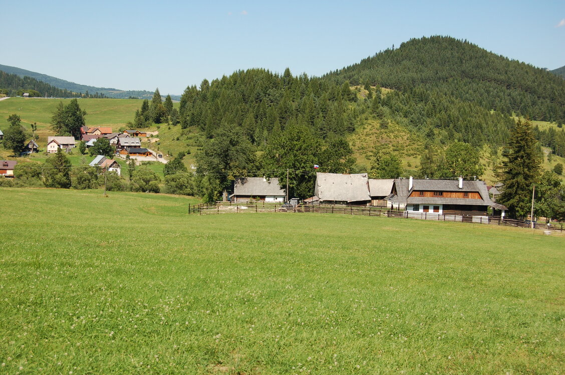 an1_036561.jpg