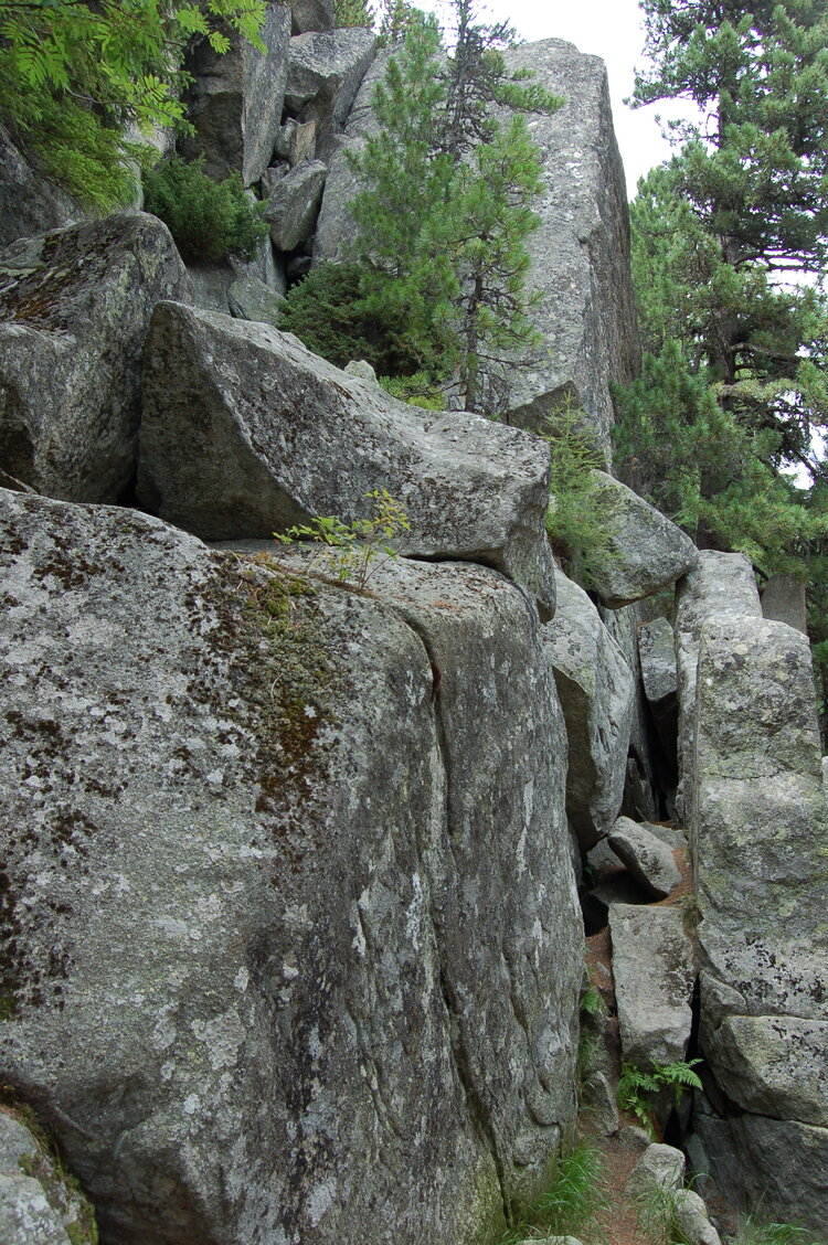an1_036606.jpg
