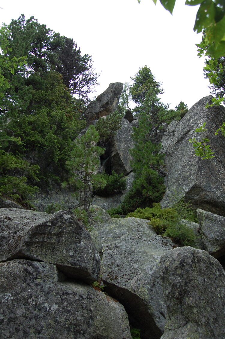 an1_036607.jpg