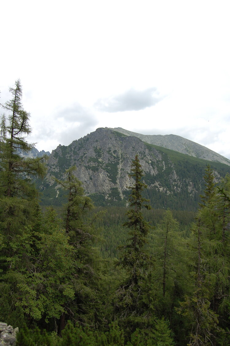 an1_036610.jpg