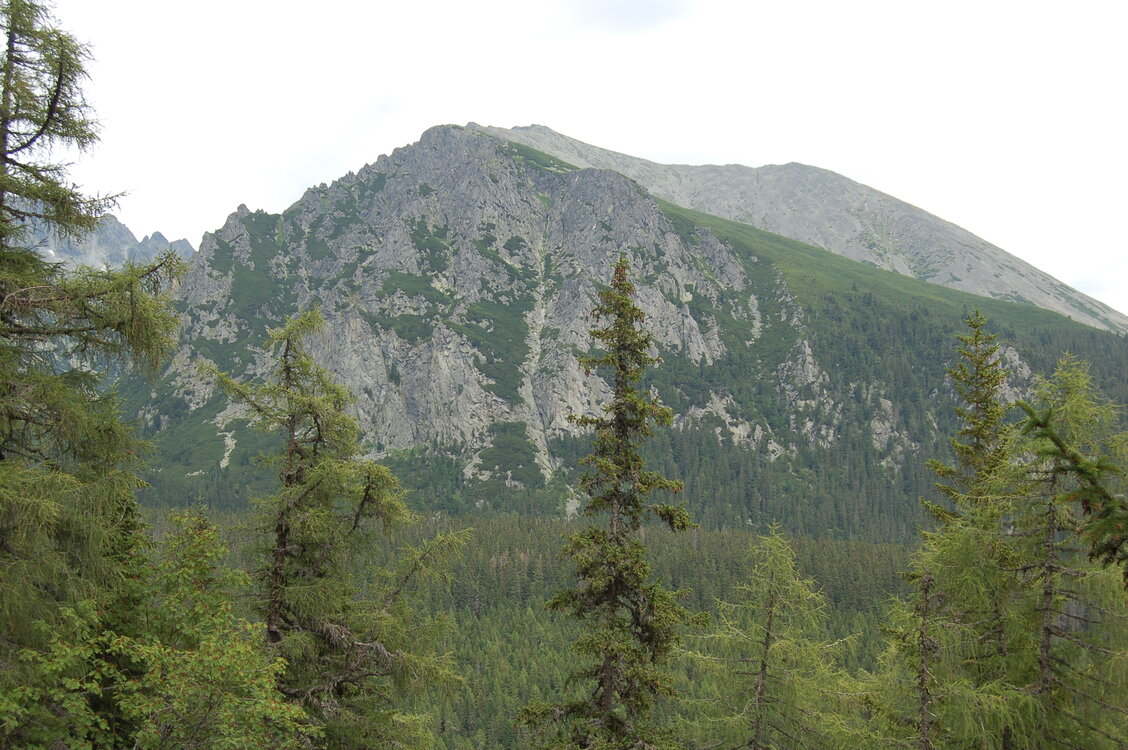 an1_036611.jpg