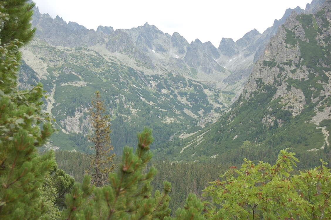 an1_036613.jpg