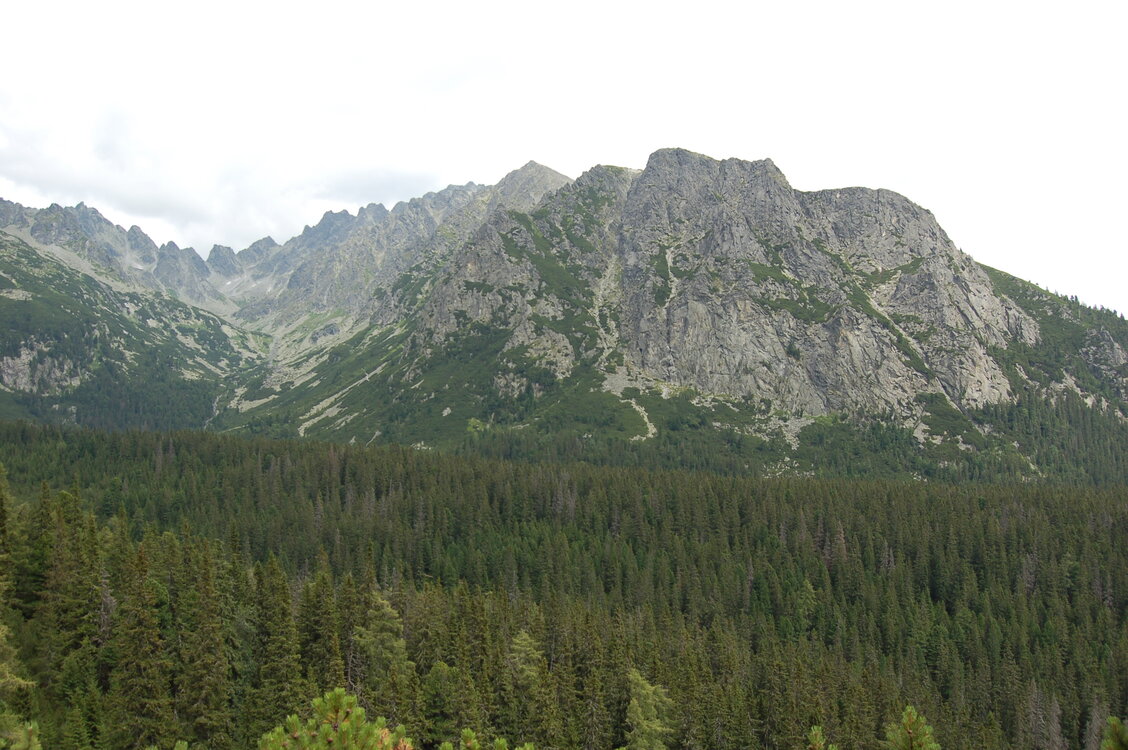 an1_036615.jpg