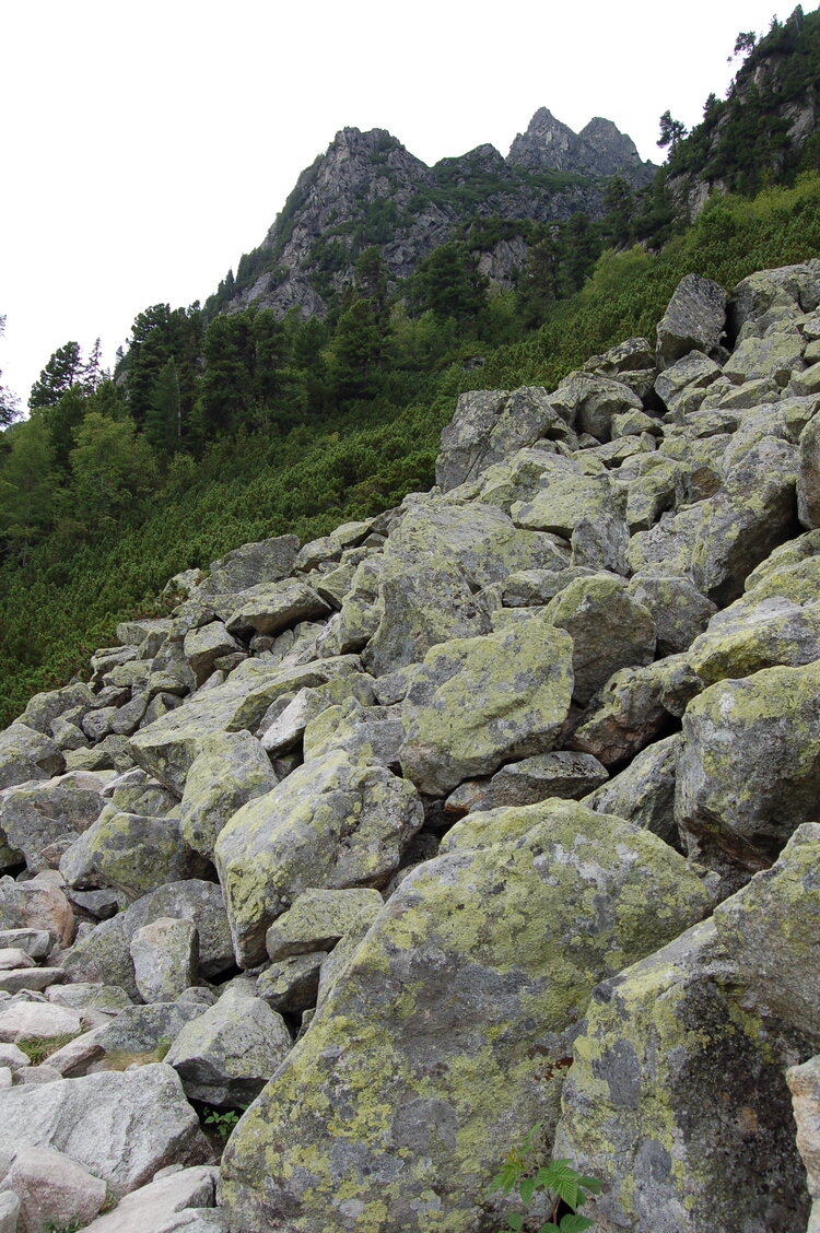 an1_036620.jpg