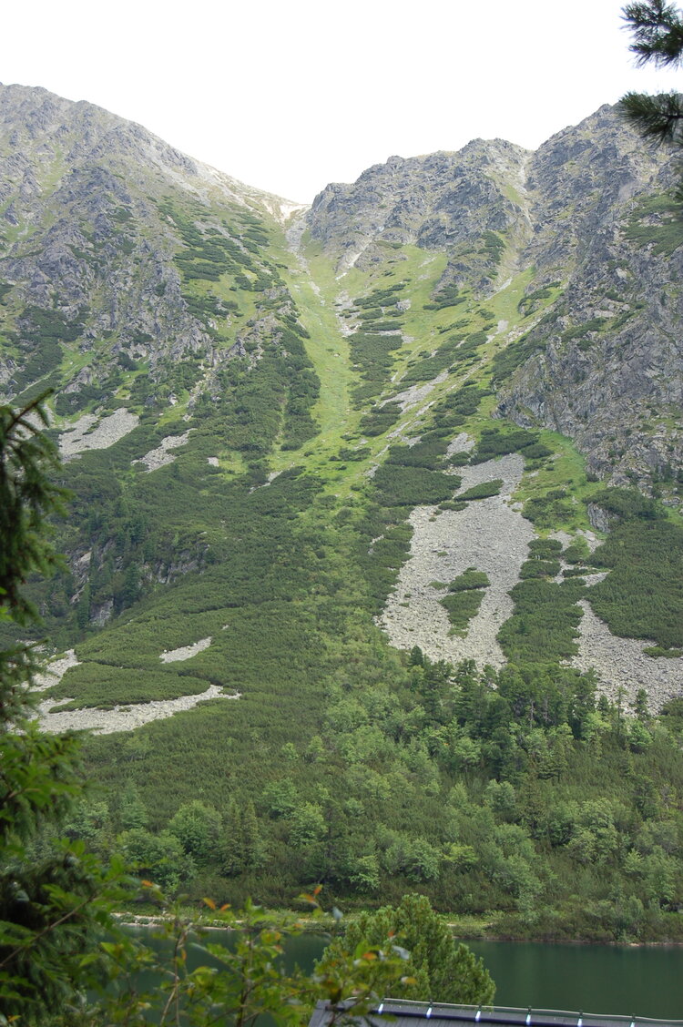 an1_036626.jpg