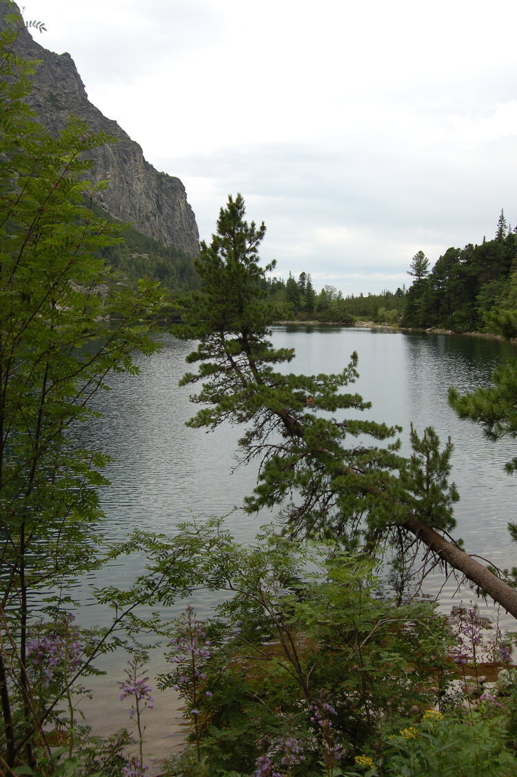 an1_036639.jpg