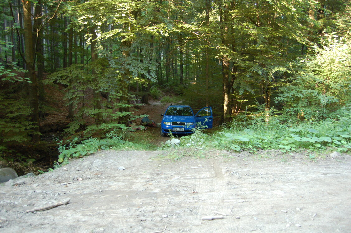 an1_036729.jpg