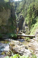 an1_036499.jpg
