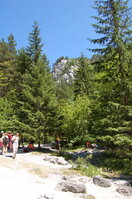 an1_036510.jpg