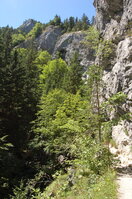 an1_036514.jpg