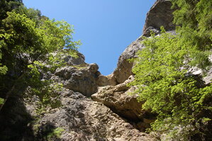 an1_036515.jpg