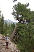an1_036609.jpg