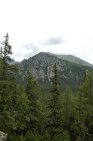 an1_036610.jpg