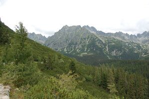 an1_036616.jpg