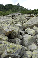 an1_036619.jpg