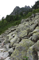 an1_036620.jpg