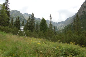 an1_036640.jpg