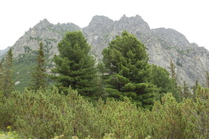 an1_036641.jpg