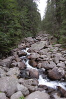an1_036645.jpg