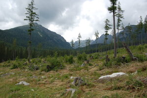 an1_036651.jpg