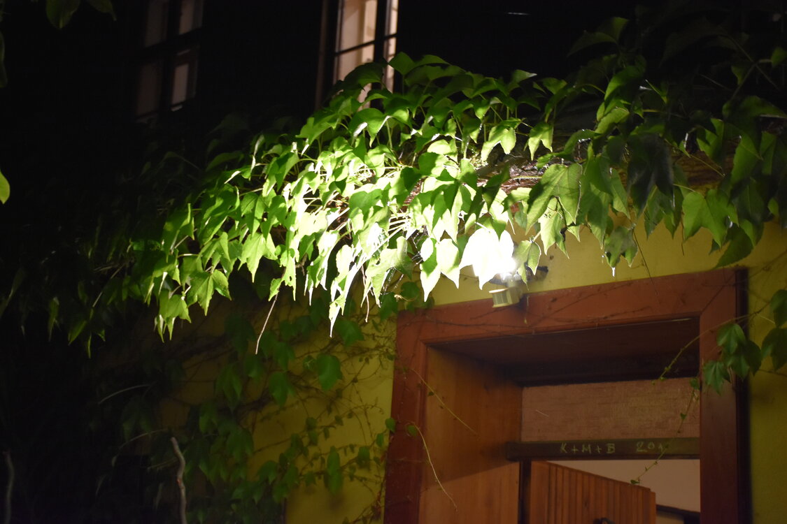 DSC_9085.JPG