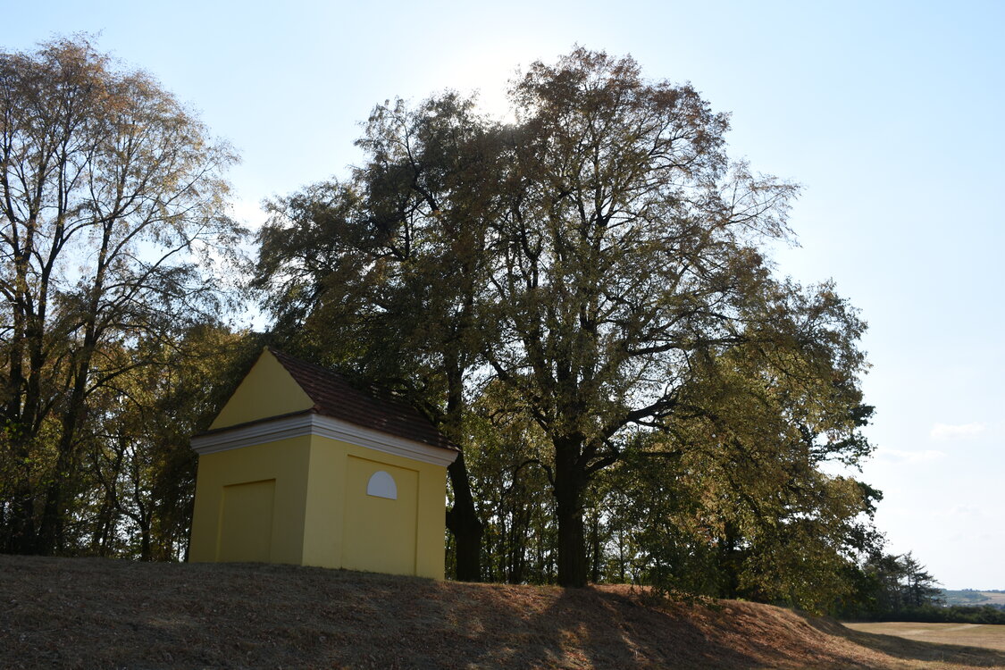 DSC_5939.JPG