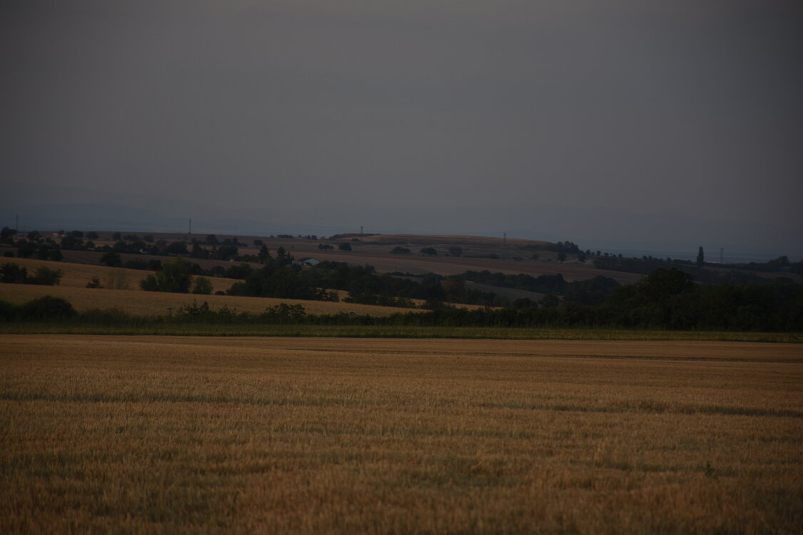 DSC_5981.JPG