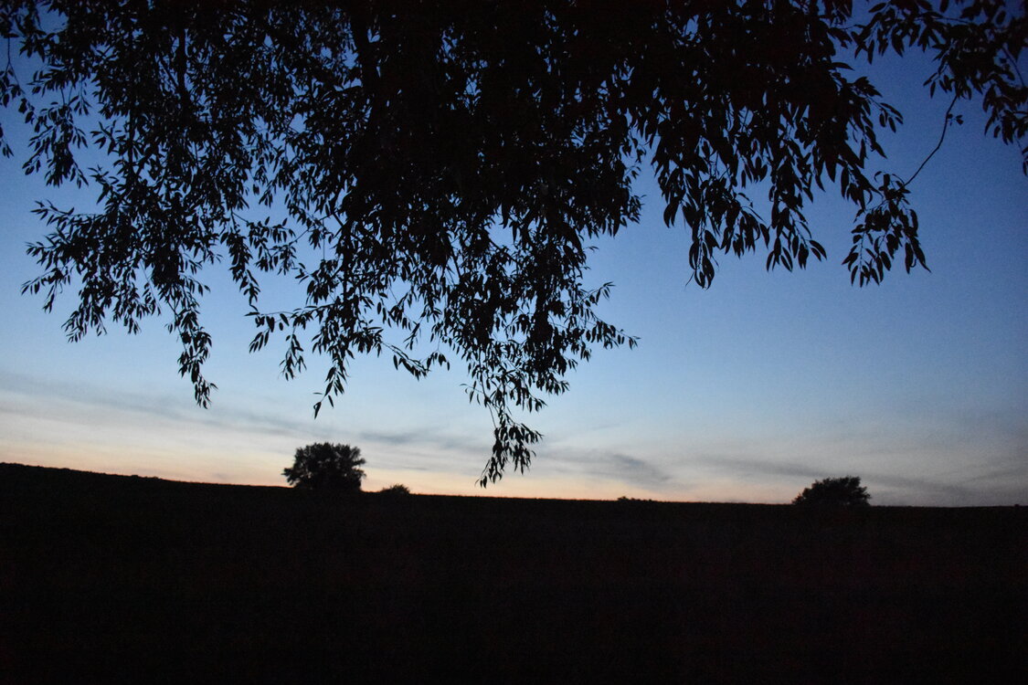 DSC_5986.JPG