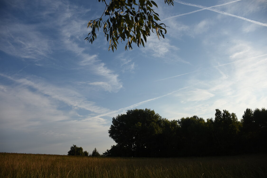 DSC_6002.JPG