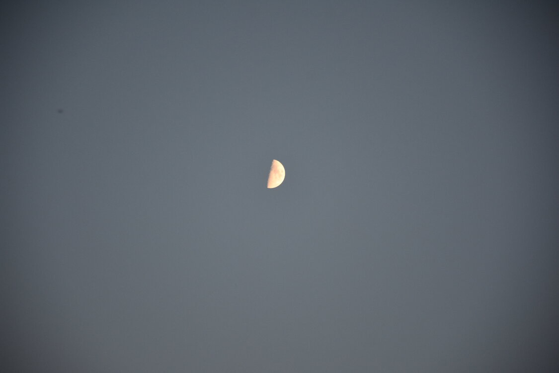 DSC_6150.JPG