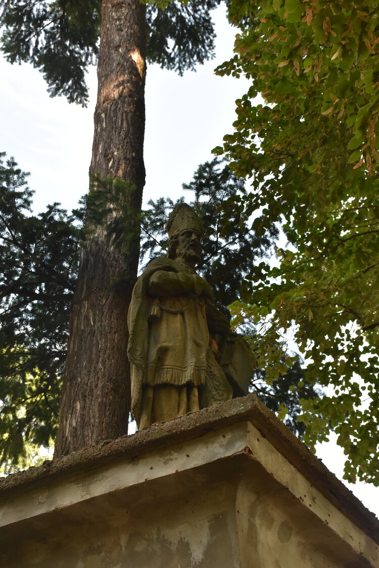 DSC_6177.JPG