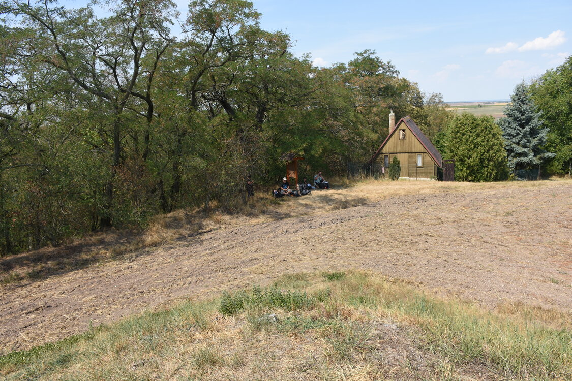 DSC_6229.JPG